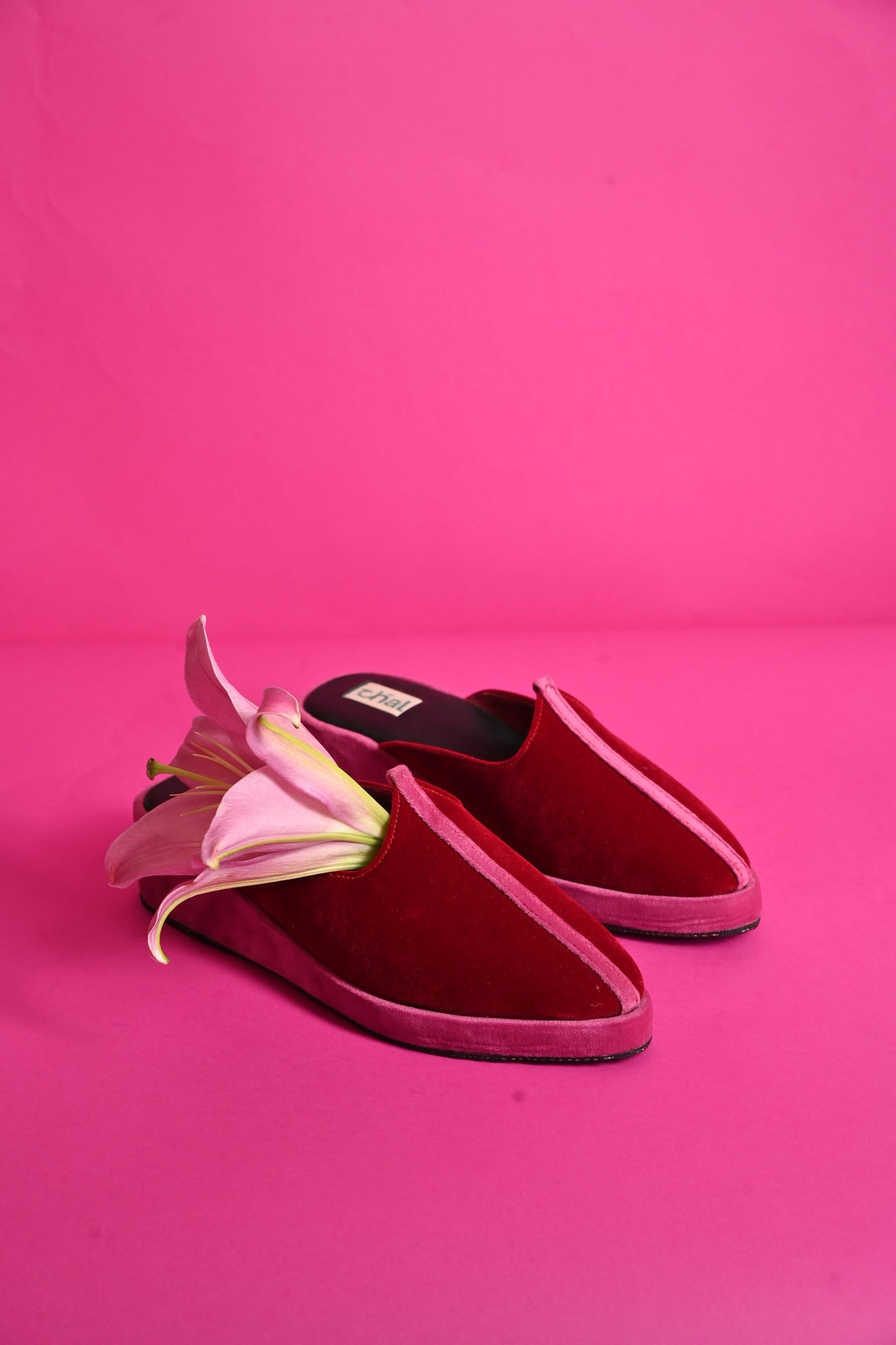 Jarsa Mojari (Red Velvet)