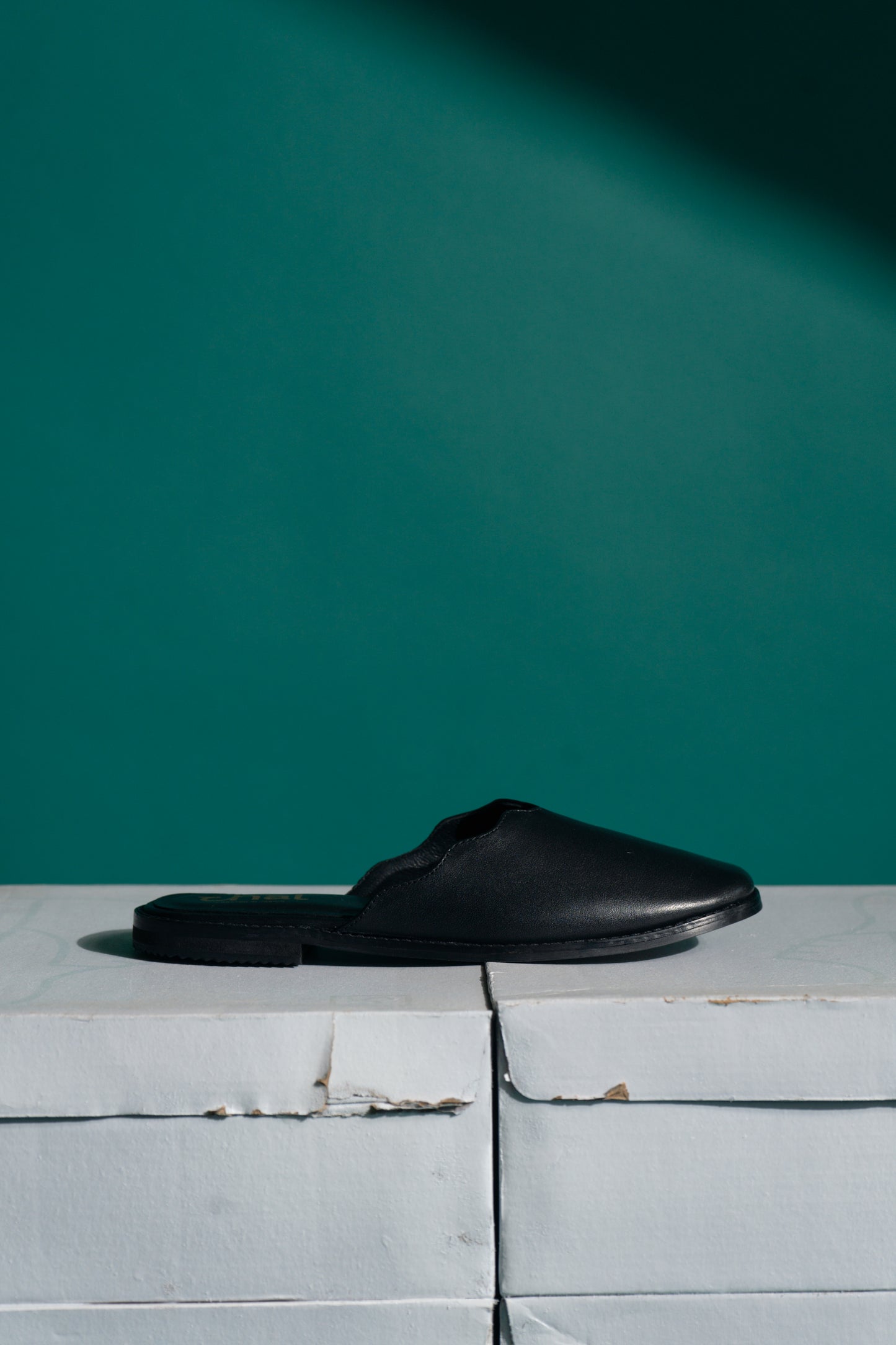 Black Jaipur Mule
