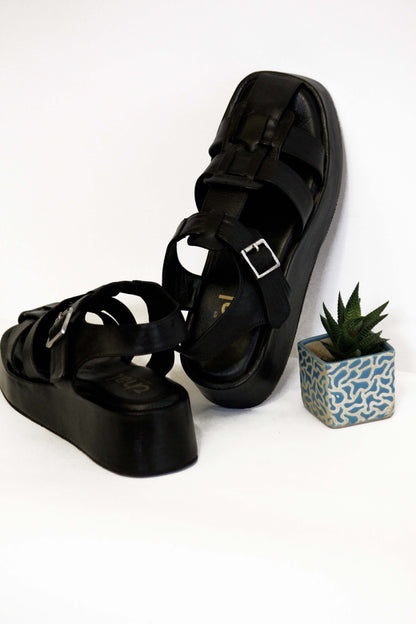 Gladiator (Black)